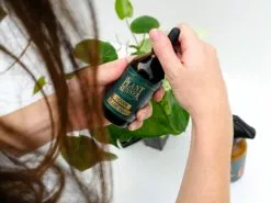 Indoor Plant Care Pack 8 Indoor Plant Care Pack -Plants in a Box Sales Shop PLARUN 05