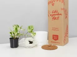 The Houseplant Gift Box - Includes Stake -Plants in a Box Sales Shop PathosMarbleQueen125mmDIYMrKitlyWhite 78d43152 38b5 48eb ac77 c6a44cfec6d7