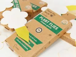 Fungal Gnat Sticky Traps 🦟 (New 10 Pack)