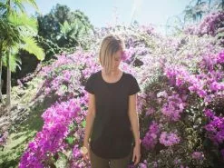 Bougainvillea Purple Cascade - 85mm -Plants in a Box Sales Shop Plant in a box stage 2 2254 Edit 2fbda789 e20b 490c 92d5 2e73292d3a49