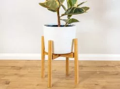 Adjustable Bamboo Plant Stand - Natural -Plants in a Box Sales Shop PlantlyCo 10 1