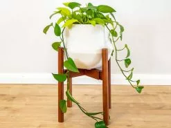 Adjustable Bamboo Plant Stand - Walnut
