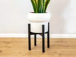 Adjustable Bamboo Plant Stand - Black -Plants in a Box Sales Shop PlantlyCo 5