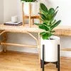 Adjustable Bamboo Plant Stand - Black -Plants in a Box Sales Shop PlantlyCo Stands01 1