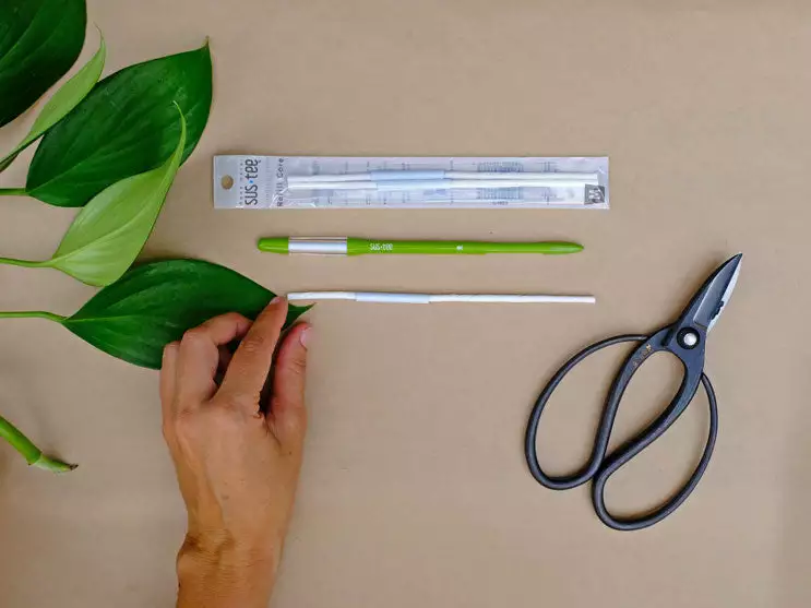 2 Sustees + 2 Refills Bundle Pack 10 2 Sustees + 2 Refills Bundle Pack - Image 8