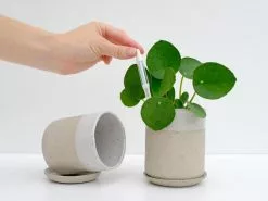 Sustee Plant Moisture Meter - Large White -Plants in a Box Sales Shop SUSTEE SM2 1fed8487 6bb1 4353 9ff8 d82ba22018c5