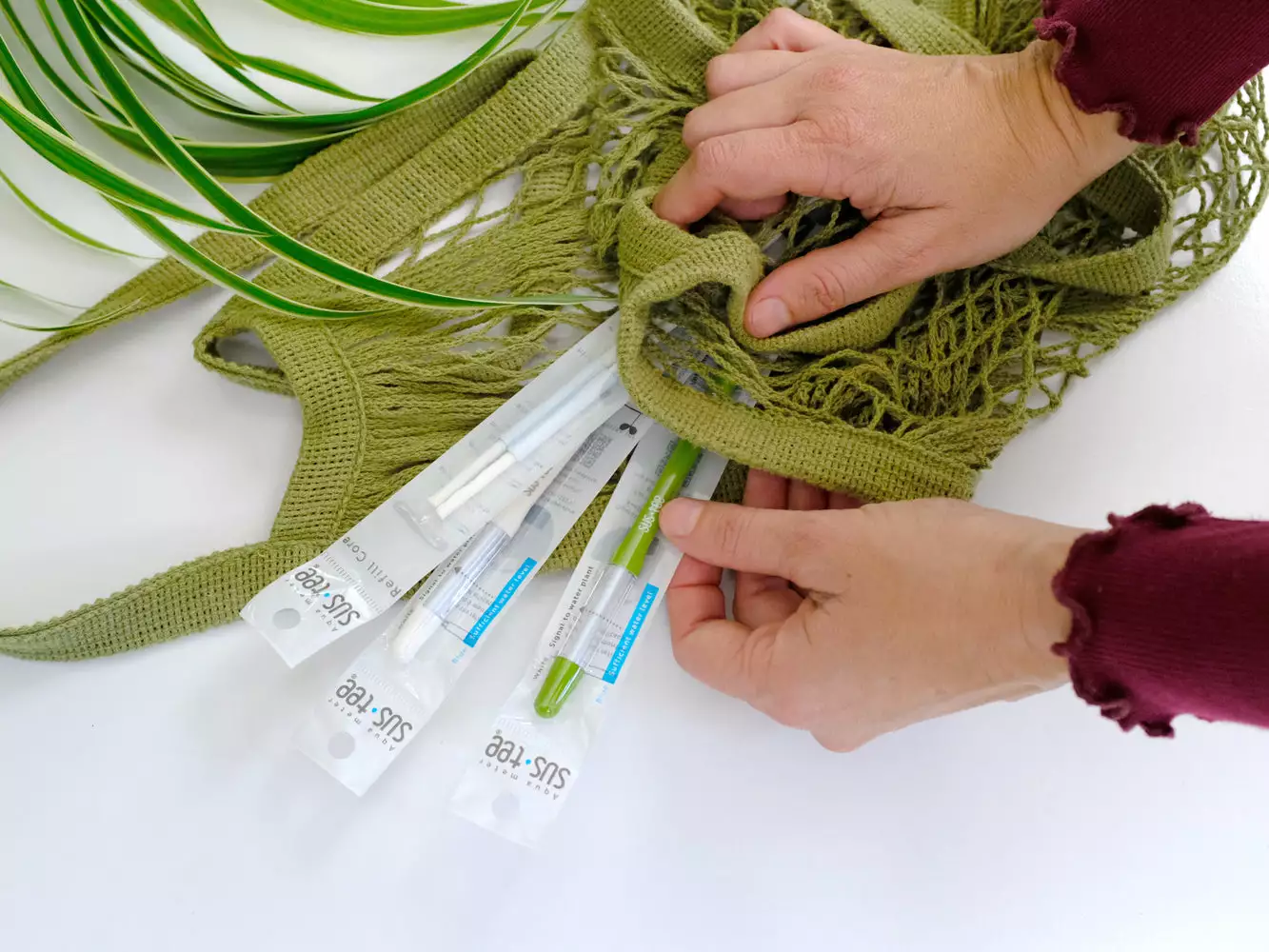 2 Sustees + 2 Refills Bundle Pack 6 2 Sustees + 2 Refills Bundle Pack - Image 4