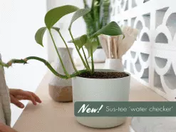 Sustee Plant Moisture Meter - Large White -Plants in a Box Sales Shop Sustee gif 06 5f52f5b8 4e8f 4daa a6cf c999cc8f8ff2