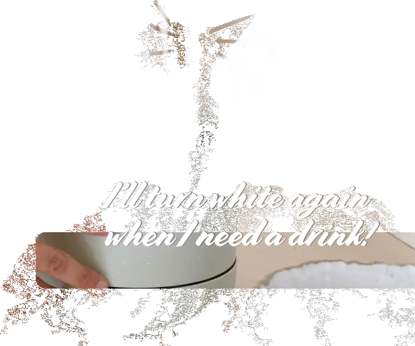 2 Sustees + 2 Refills Bundle Pack 9 2 Sustees + 2 Refills Bundle Pack - Image 7