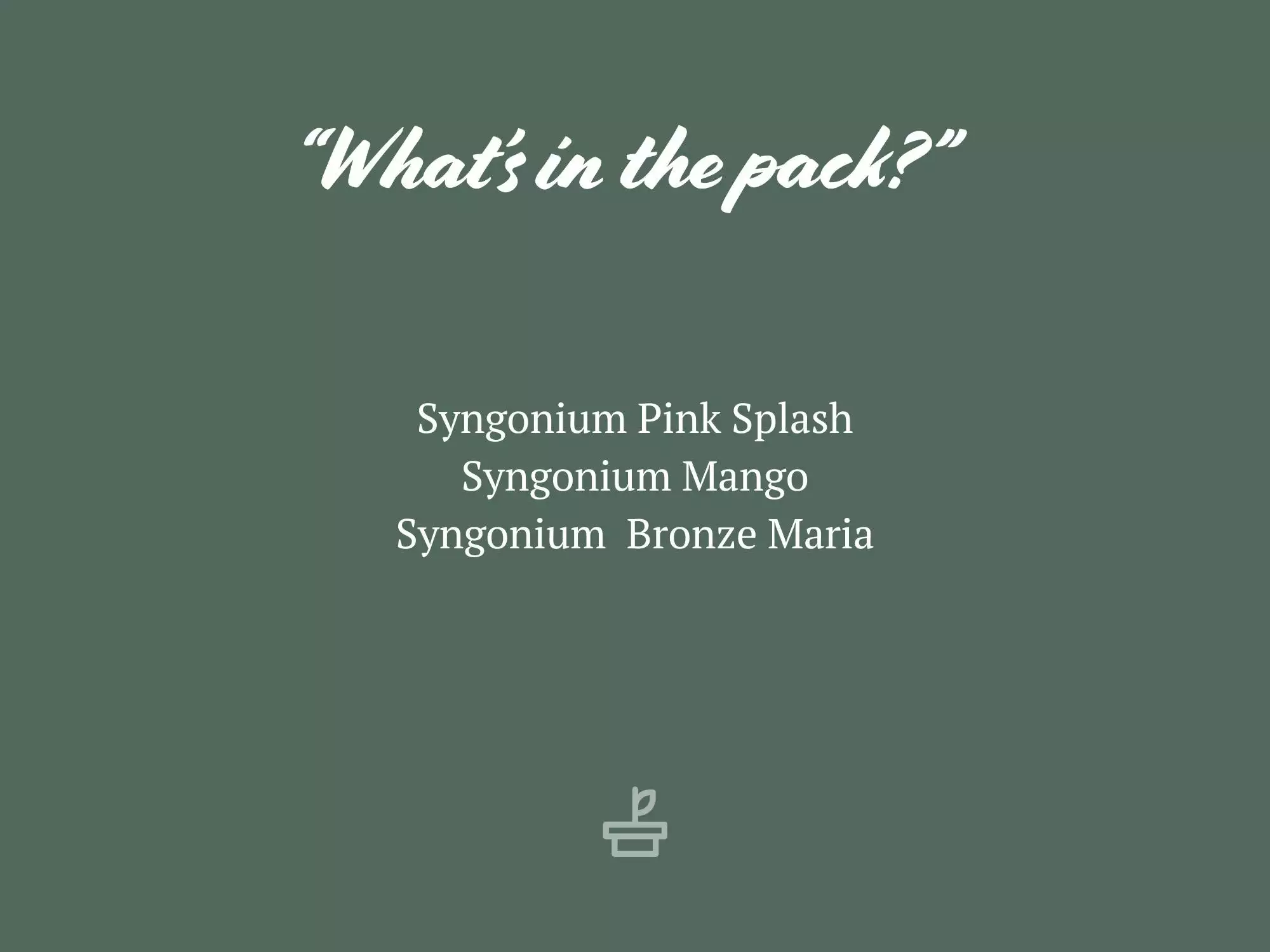 Syngonium Mixed Pack - 85mm 11 Syngonium Mixed Pack - 85mm - Image 9