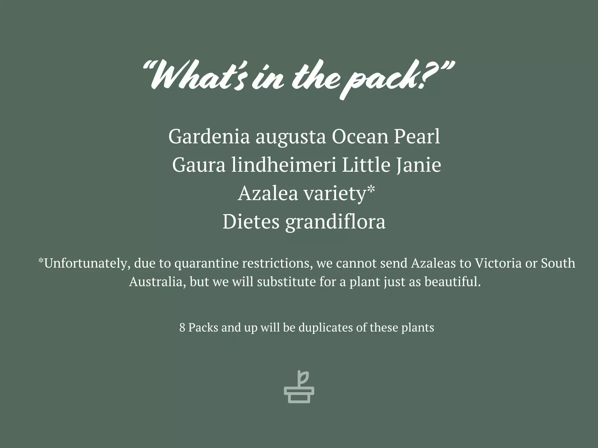 She's All That - The Flowering Plant Pack 10 She's All That - The Flowering Plant Pack - Image 8