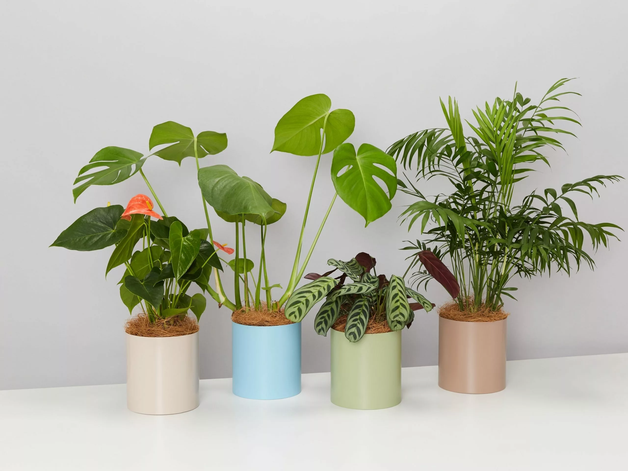 Urban Eden Vessel - Oatmeal 5 Urban Eden Vessel - Oatmeal - Image 3