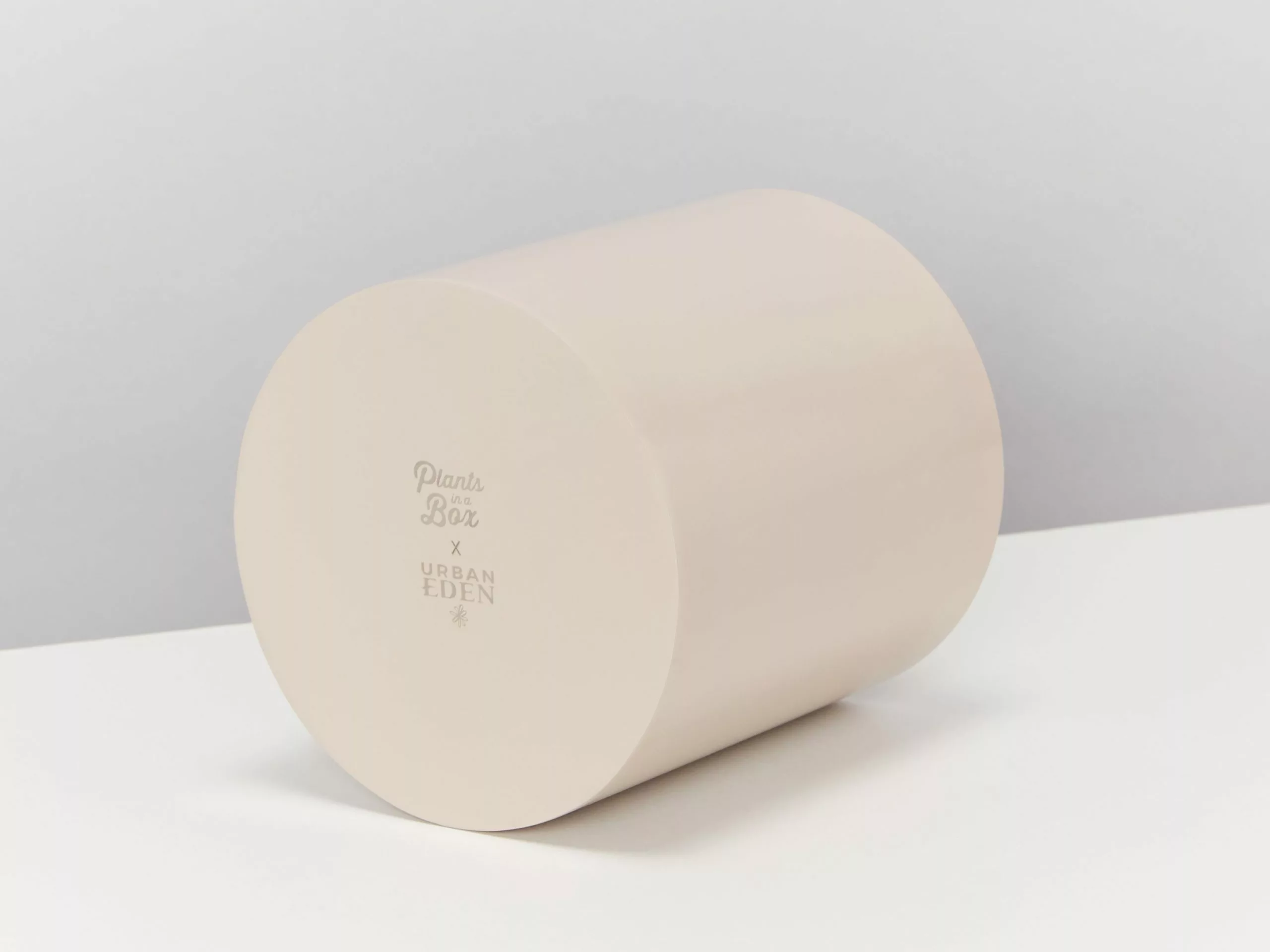 Potted Syngonium Fantasy Gift Box - In Oatmeal Vessel 6 Potted Syngonium Fantasy Gift Box - In Oatmeal Vessel - Image 4