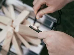 Barebones Wolf And Grizzly Campfire Trio -Plants in a Box Sales Shop WGTRIO 4 1512x 5f904b41 fd1f 4ed8 afdf f8dc6f72763c