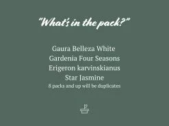 White Flowering Box - Full Sun -Plants in a Box Sales Shop WhiteFloweringPack 2