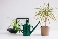 Heritage â™»ï¸Watering Can - Blue Or Green -Plants in a Box Sales Shop image 11