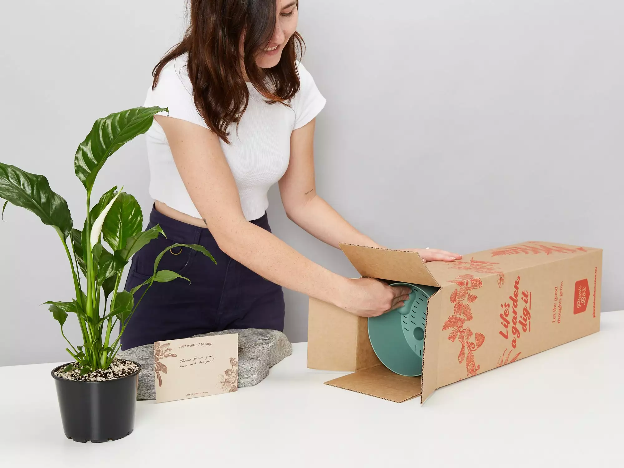 Peace Lily Gift Box - Pot + Plant + Soil Mix 20 Peace Lily Gift Box - Pot + Plant + Soil Mix - Image 18