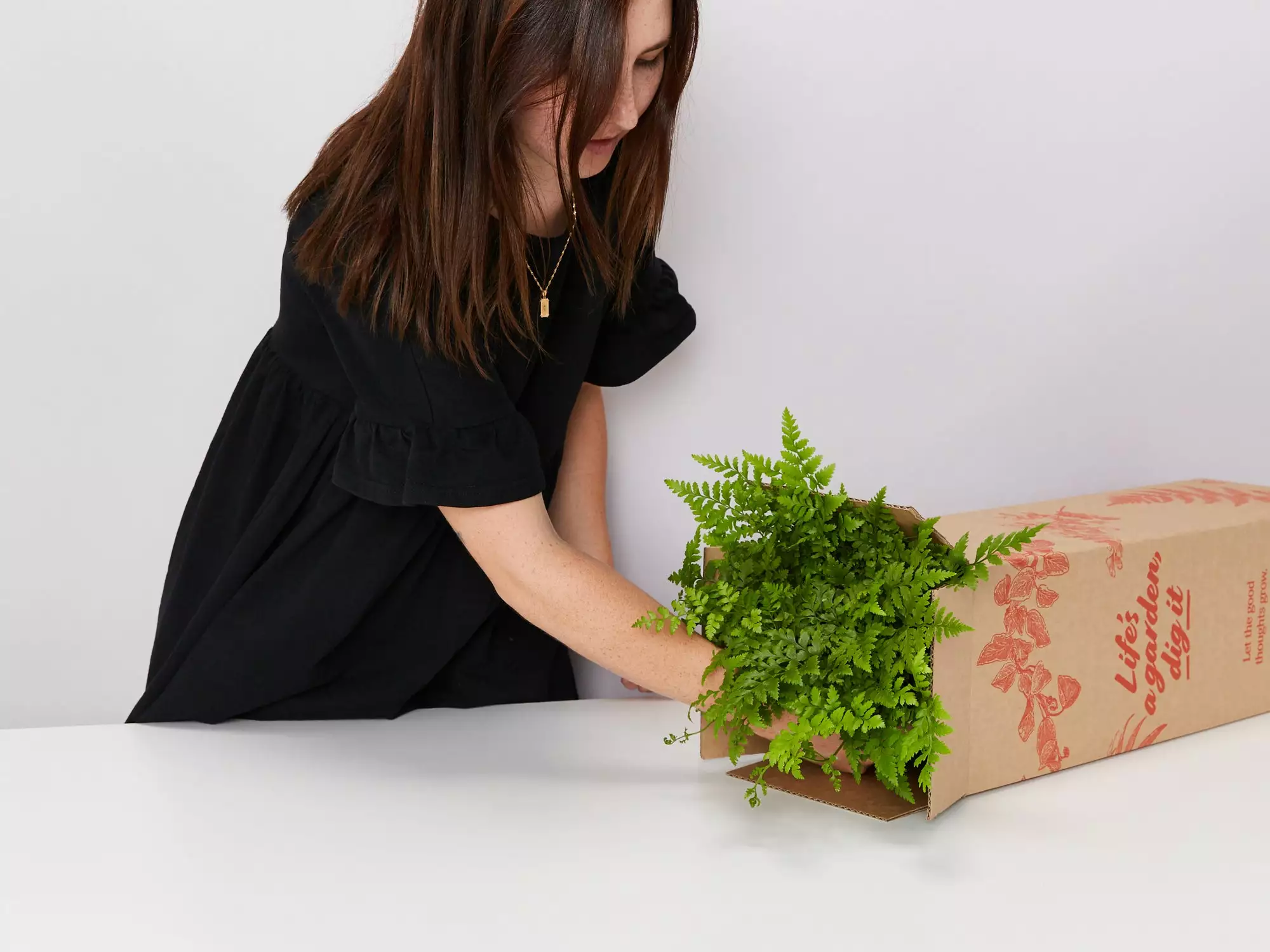 Elho Eco Friendly â™»ï¸Gift Box - Fern Varieties 4 Elho Eco Friendly â™»ï¸Gift Box - Fern Varieties - Image 2