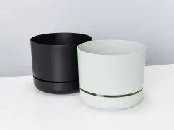 3 Plants & 3 Self-Watering Pot 250mm Set - Medium -Plants in a Box Sales Shop image 330877ec 2e20 4a67 bb29 4d50593beb7c