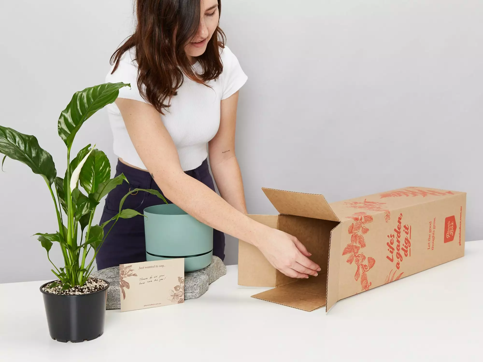 Peace Lily Gift Box - Pot + Plant + Soil Mix 4 Peace Lily Gift Box - Pot + Plant + Soil Mix - Image 2