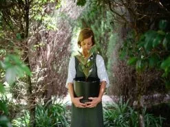 Self-Watering Pots 300mm -Plants in a Box Sales Shop plants in a box chrissy 84 Edit 4 d068fbda f36c 4009 914e 302b78b2b134